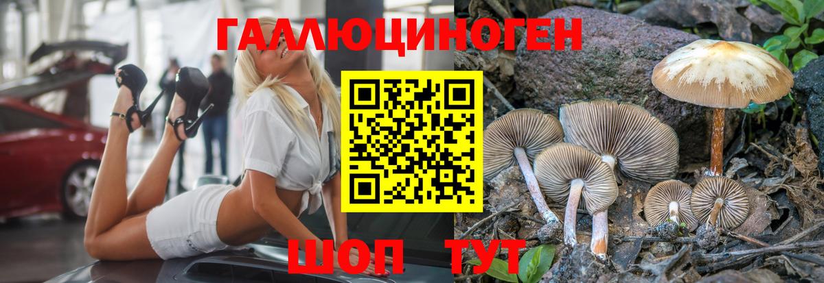 Галлюциногенные грибы Magic Shrooms Железногорск