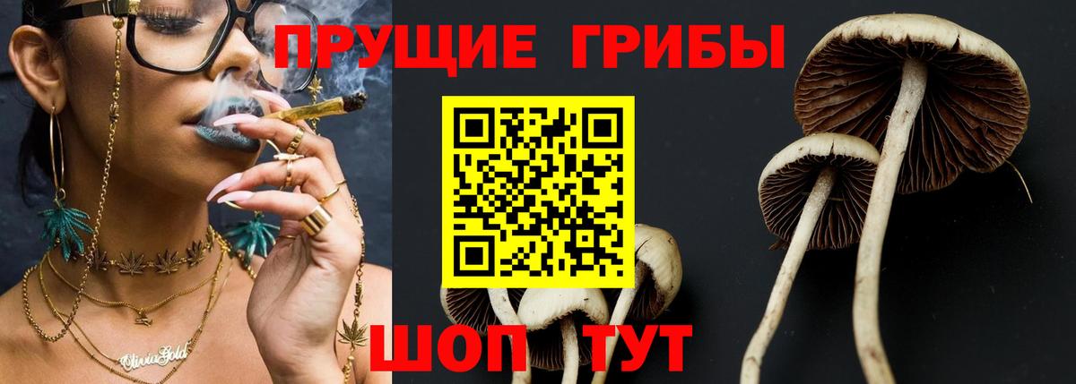 Псилоцибиновые грибы мухоморы  Вход с VPN  Галлюциногенные грибы Psilocybe  Железногорск 
